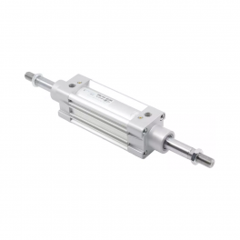 Пневмоцилиндр DMC-100-DYA-0300 Pemaks