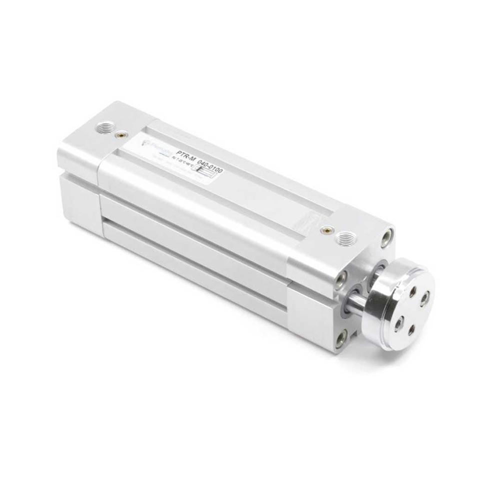 Двухштоковый пневмоцилиндр PTRM-50-200 Pemaks